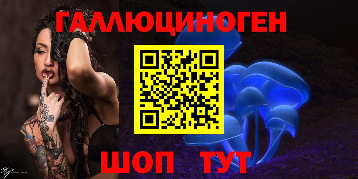 Галлюциногенные грибы Psilocybe Майский